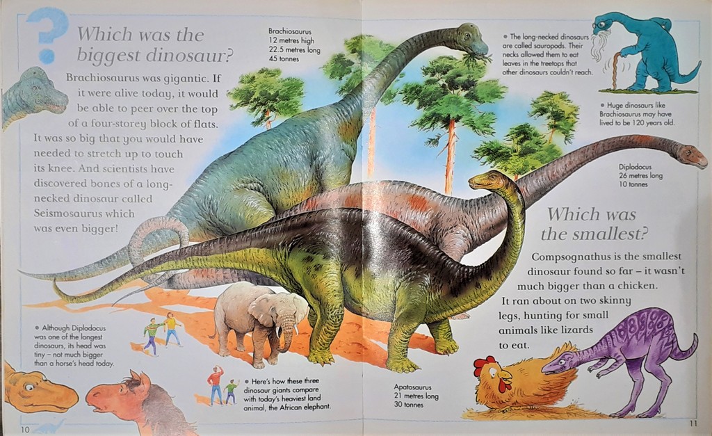 I Wonder Why Triceratops had horns