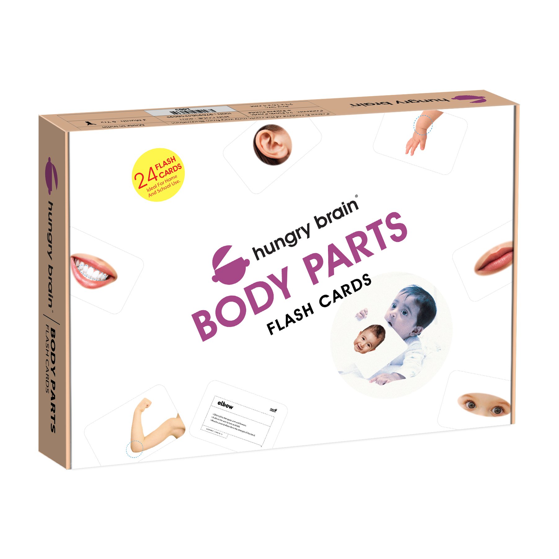 Parts Of The Body - Flash Cards - Krazy