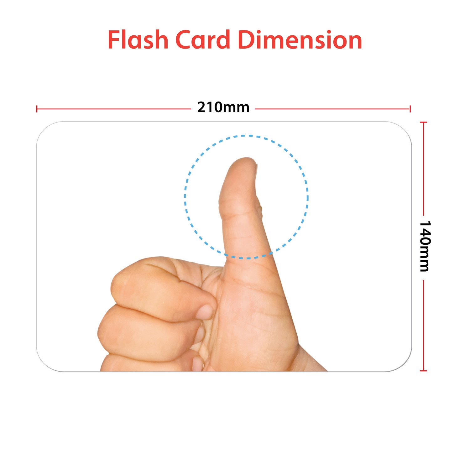 Parts Of The Body - Flash Cards - Krazy - Image 4
