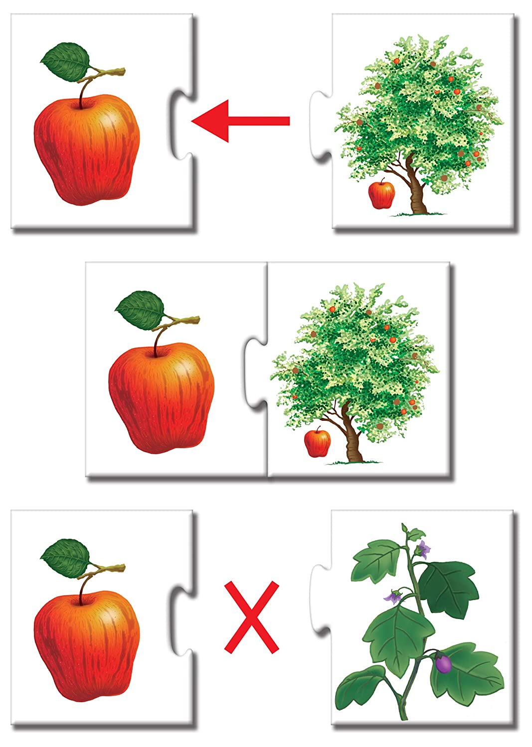Fruits and Vegetables