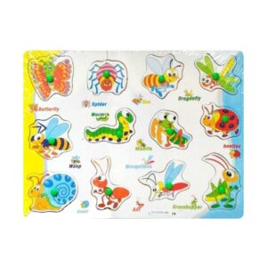 Insects Identification Tray