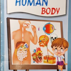 Know your Human Body