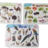Mats 1 Alphabets Fruits Wild Animals Birds Domestic Animals Vegetables