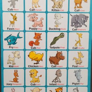 My Preschool Educational Chart Baby Animals