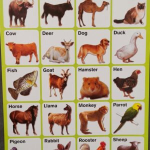 My Preschool Educational Chart Domestic Animals