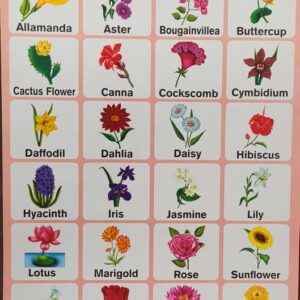 My Preschool Educational Chart Flowers