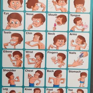 My Preschool Educational Chart My Body