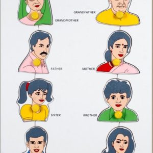 Family Identification Tray Little Genius