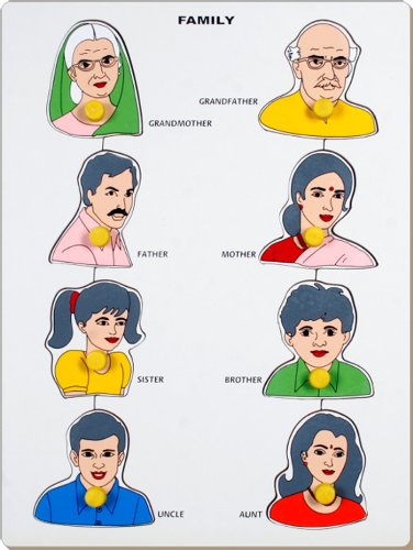 Family Identification Tray Little Genius