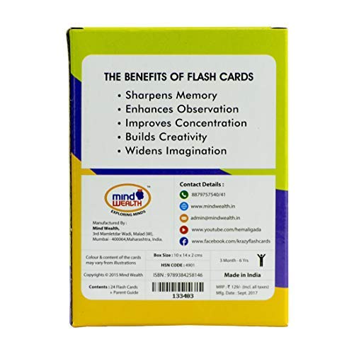 Fruits - Mini Flash Cards - Krazy