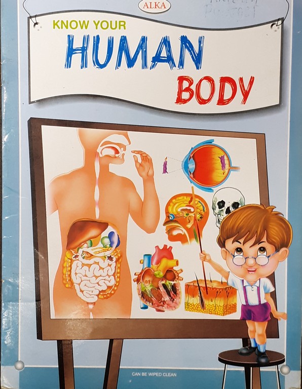 Know your Human Body