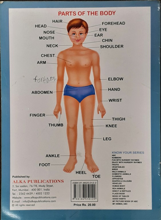 Know your Human Body