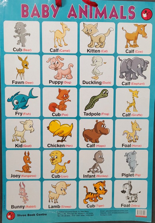 My Preschool Educational Chart Baby Animals