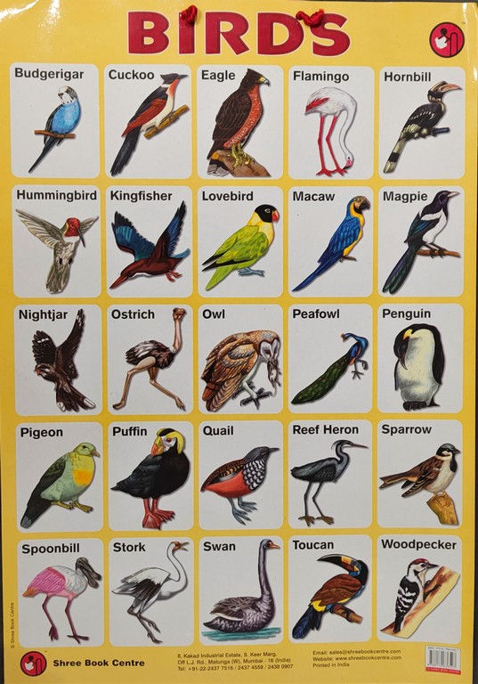 My Preschool Educational Chart Birds