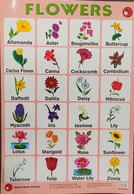 My Preschool Educational Chart Flowers