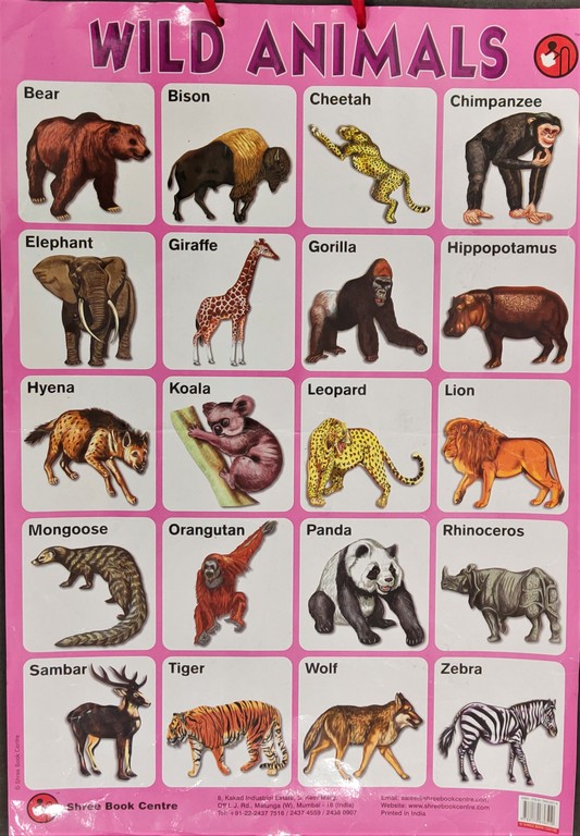 My Preschool Educational Chart Wild Animals