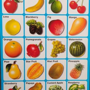 My Preschool Educational ChartFruits