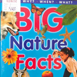 Planes and Rockets and things that fly 1