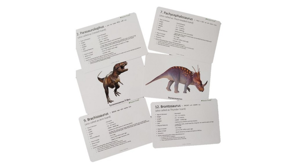 Flash Cards Dinosaurs