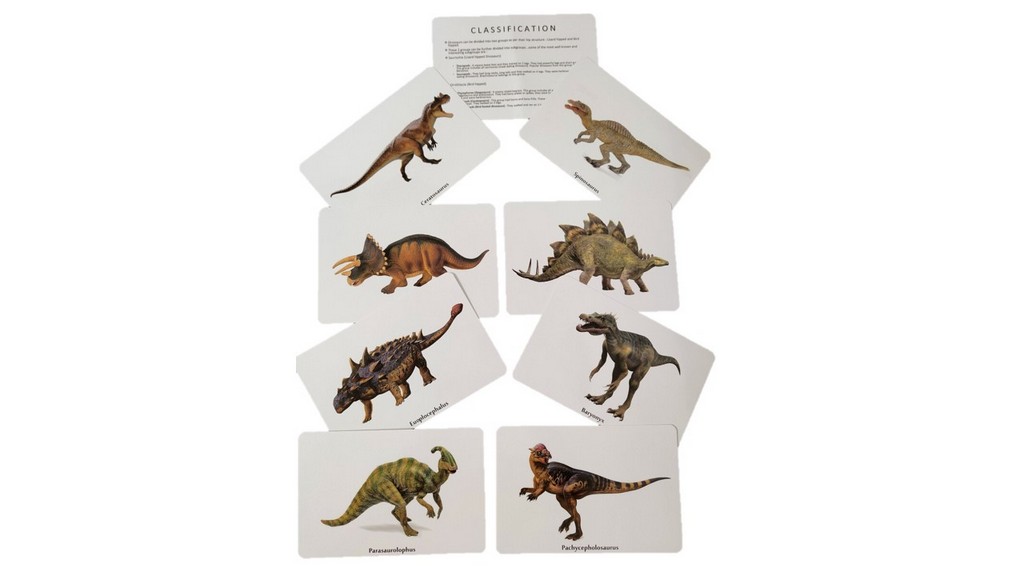 Flash Cards Dinosaurs