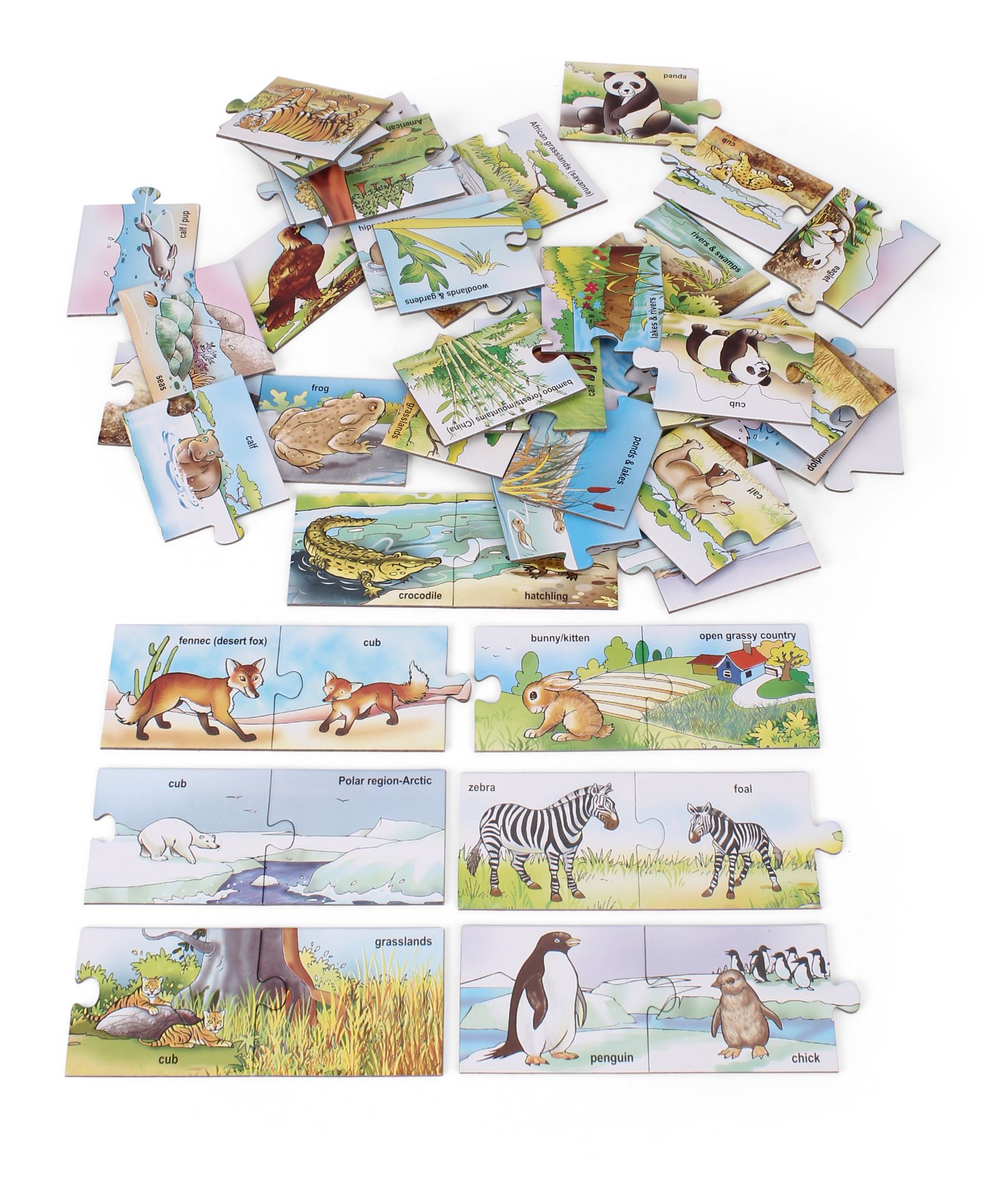 Animals, Babies and Habitats