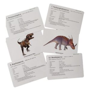 Flash Cards Dinosaurs