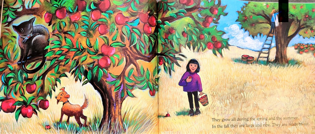 A Tree is a Plant