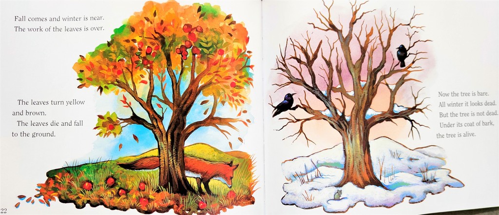 A Tree is a Plant