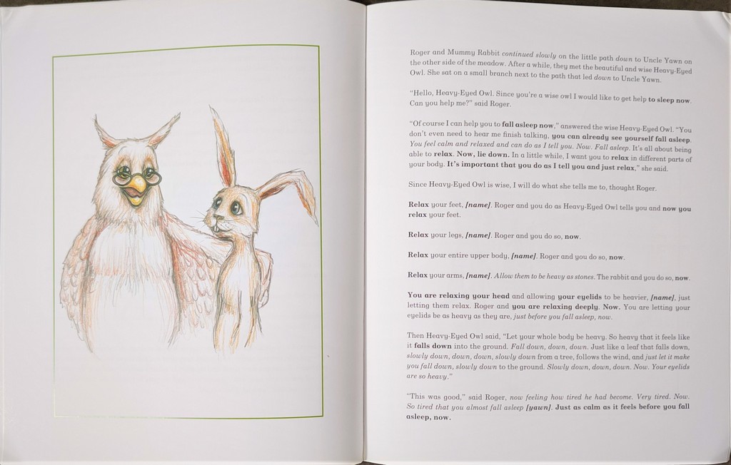 The Rabbit who wants to fall asleep