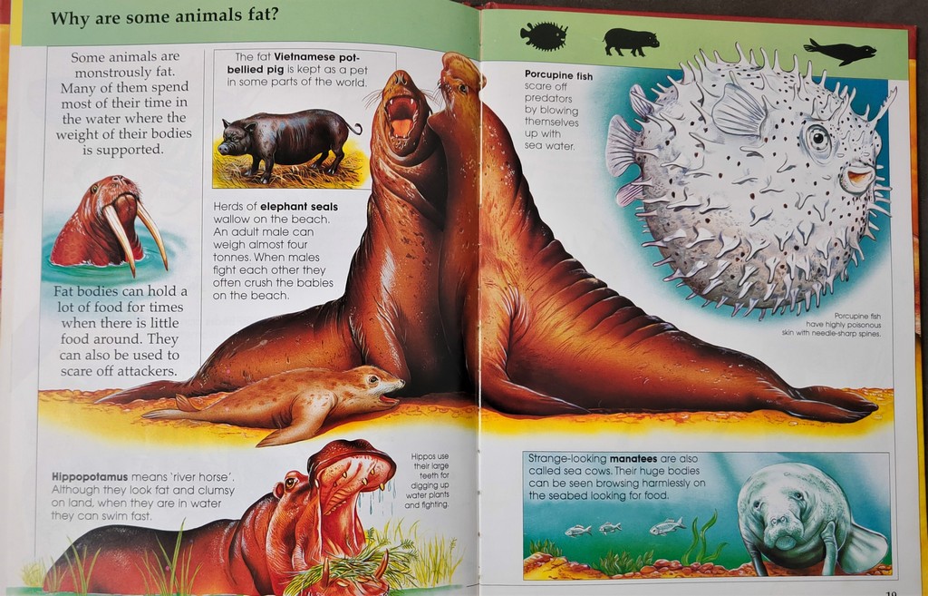 Knowledge Masters Monster Animals