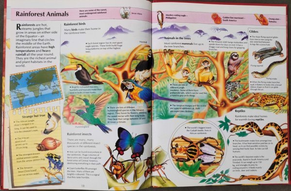 Knowledge Master Wild Animals