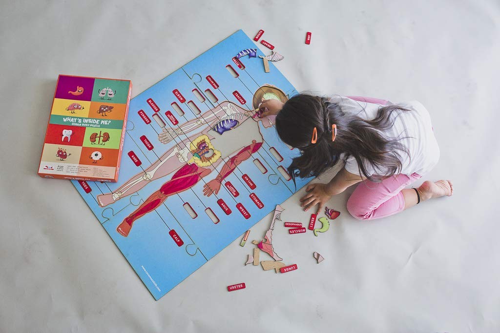 Human Body Puzzle Coco Moco