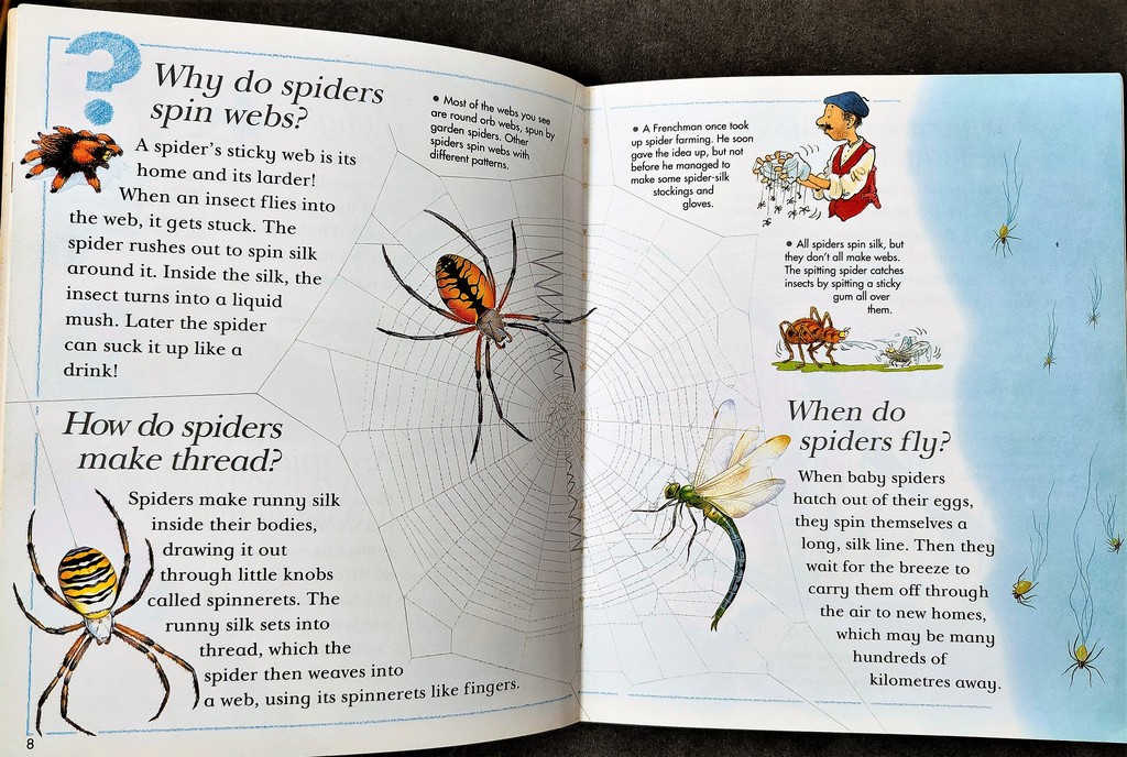 I Wonder Why spiders spin webs