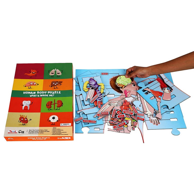 Human Body Puzzle Coco Moco