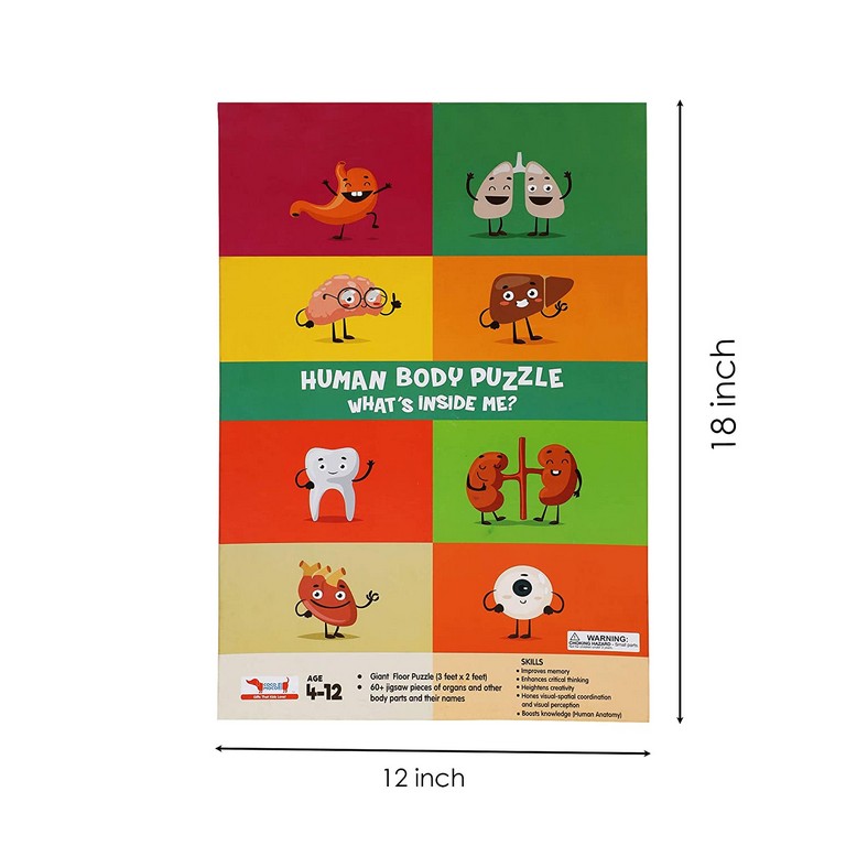 Human Body Puzzle Coco Moco