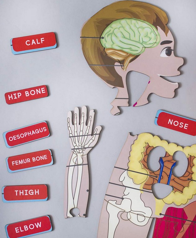 Human Body Puzzle Coco Moco