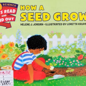 How a seed grows