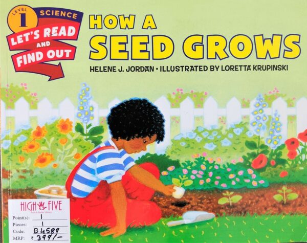 How a seed grows