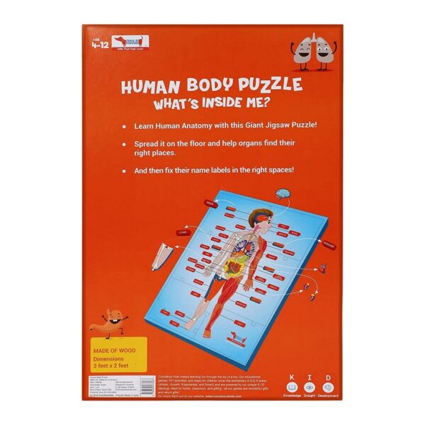 Human Body Puzzle Coco Moco