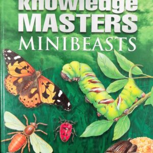 Knowledge Masters Minibeasts