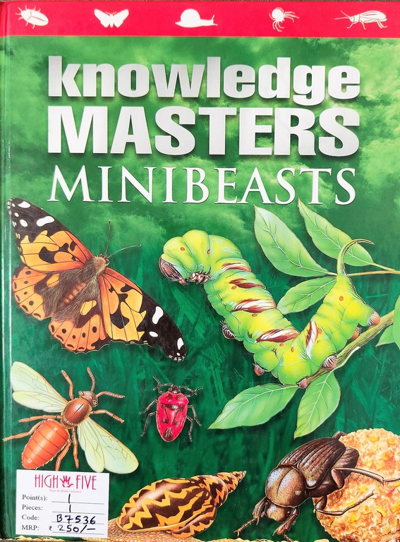 Knowledge Masters Minibeasts