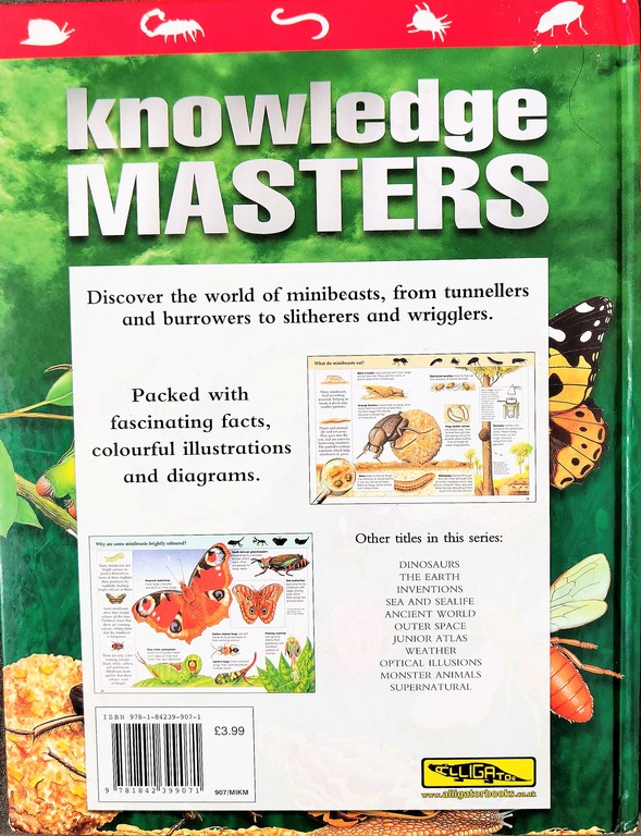Knowledge Masters Minibeasts