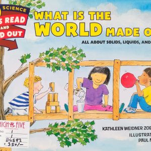 What is the world made of