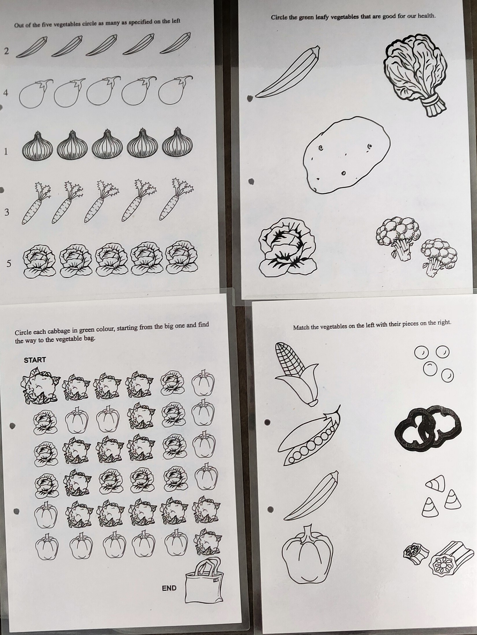 Vegetables-worksheet